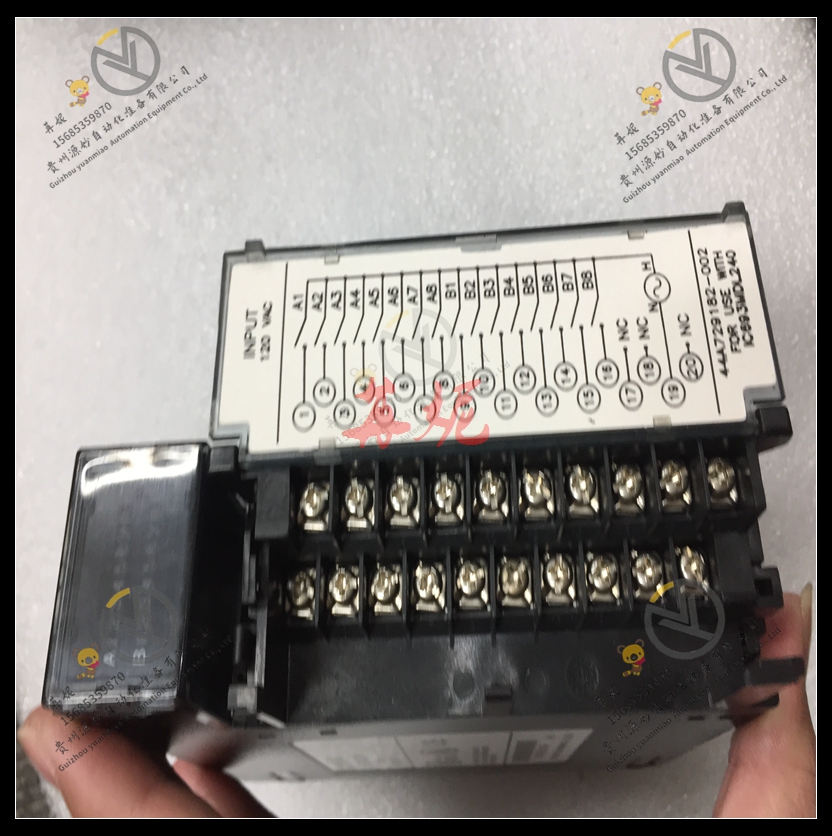 GE- IC693CBL313