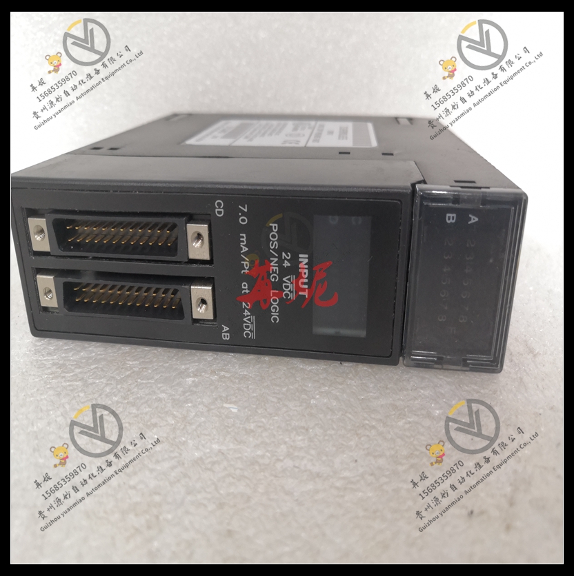 GE -IC693BEM321RR