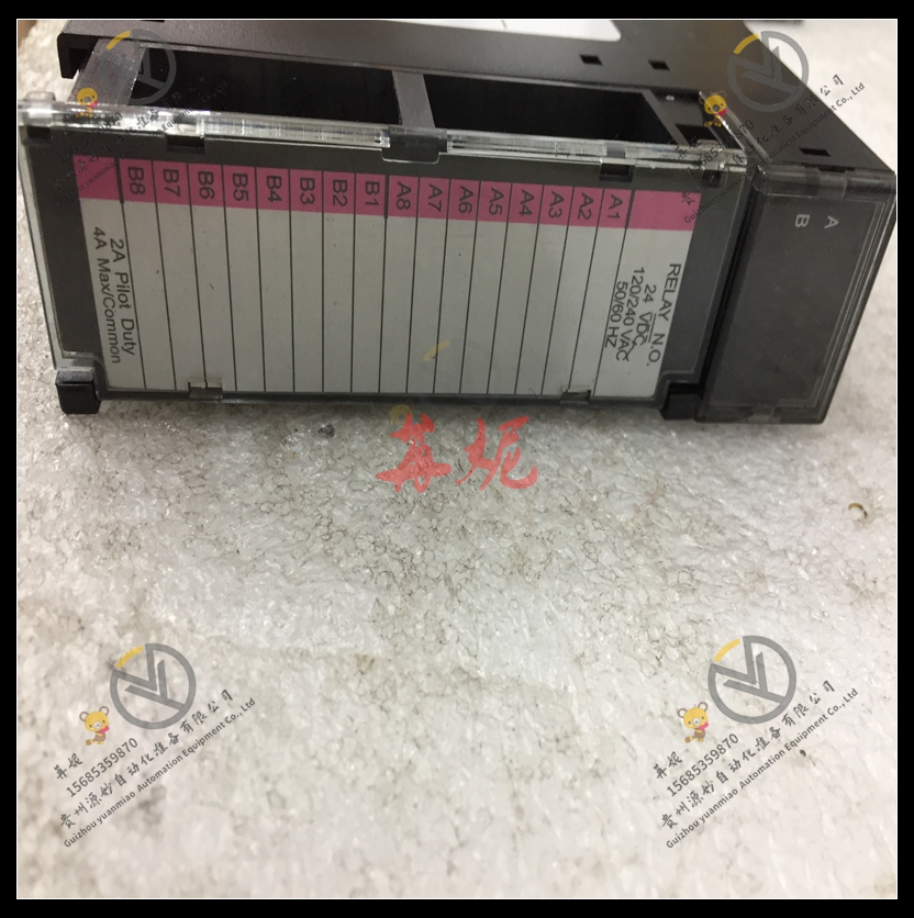 GE-IC693ALG391CA