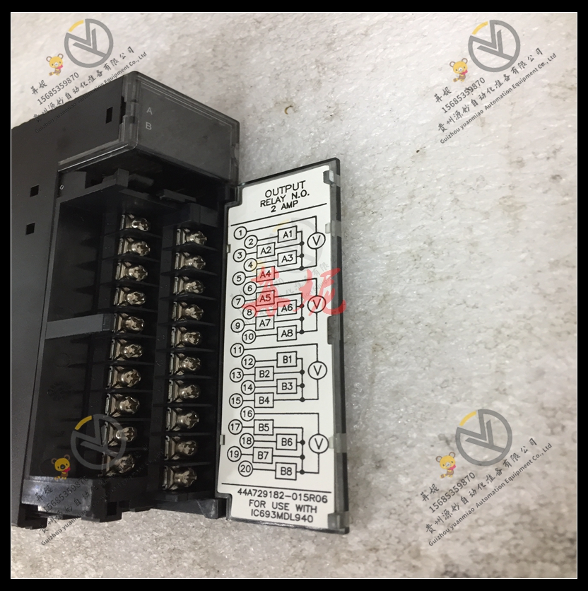 GE-IC693ALG223CA