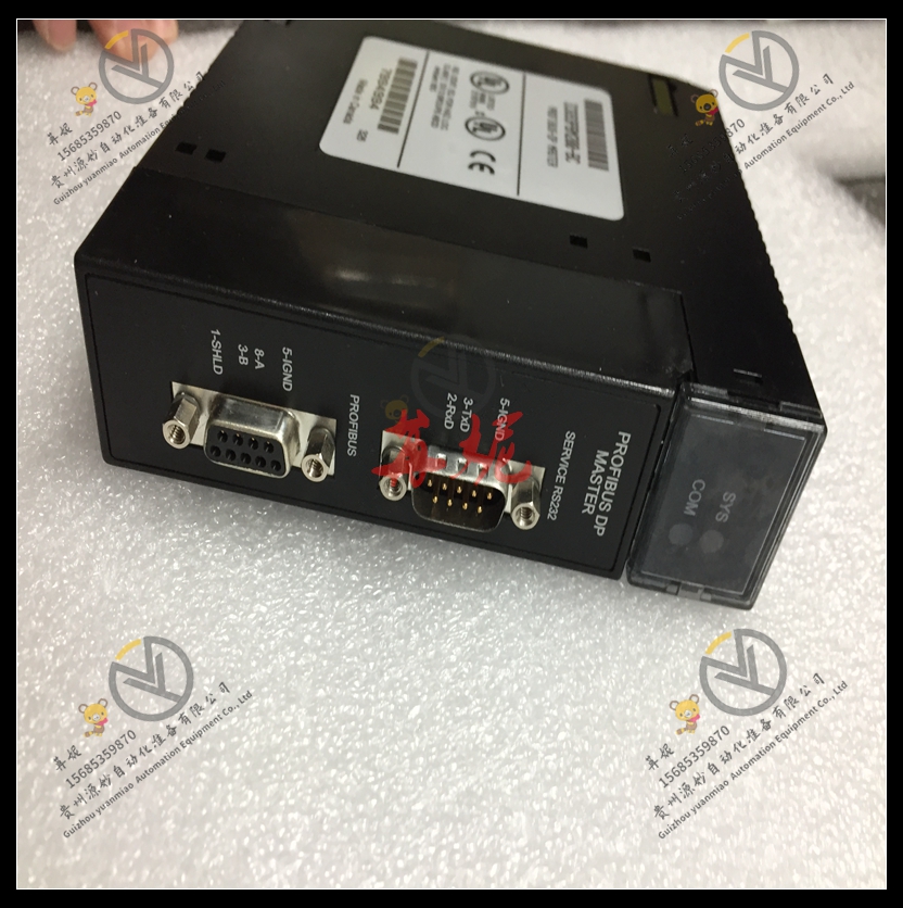 GE-IC693ALG220RR