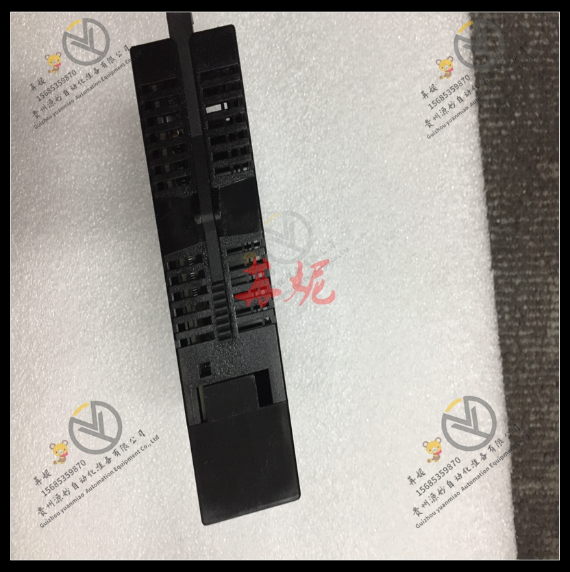 GE-IC693ALG220LT