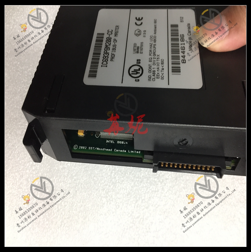 GE-IC693ALG220CA