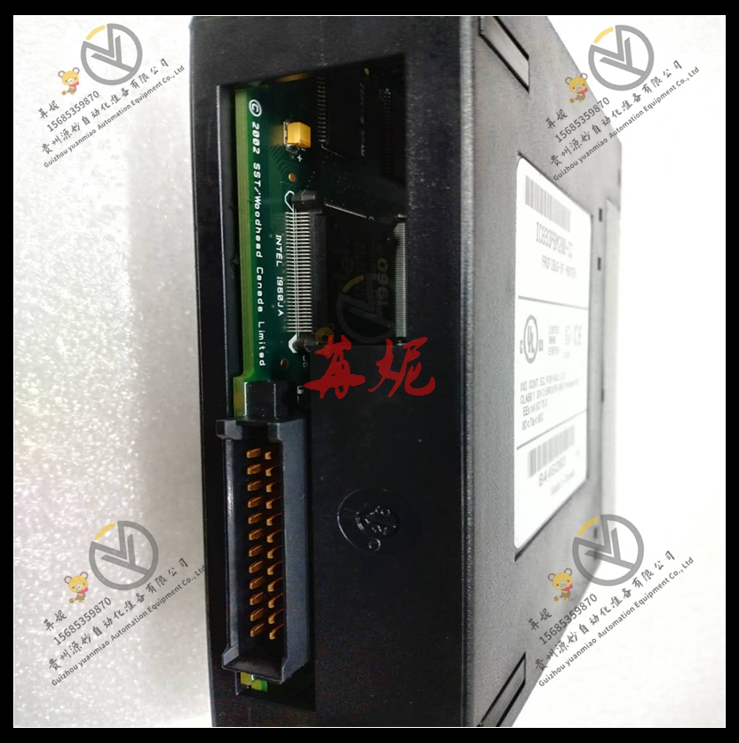 GE-IC693ACC338