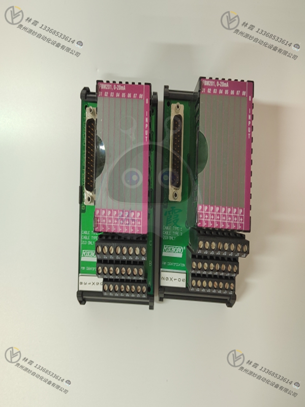 FOXBORO福克斯波罗 FBS232P09F  模块 现货 欧美进口