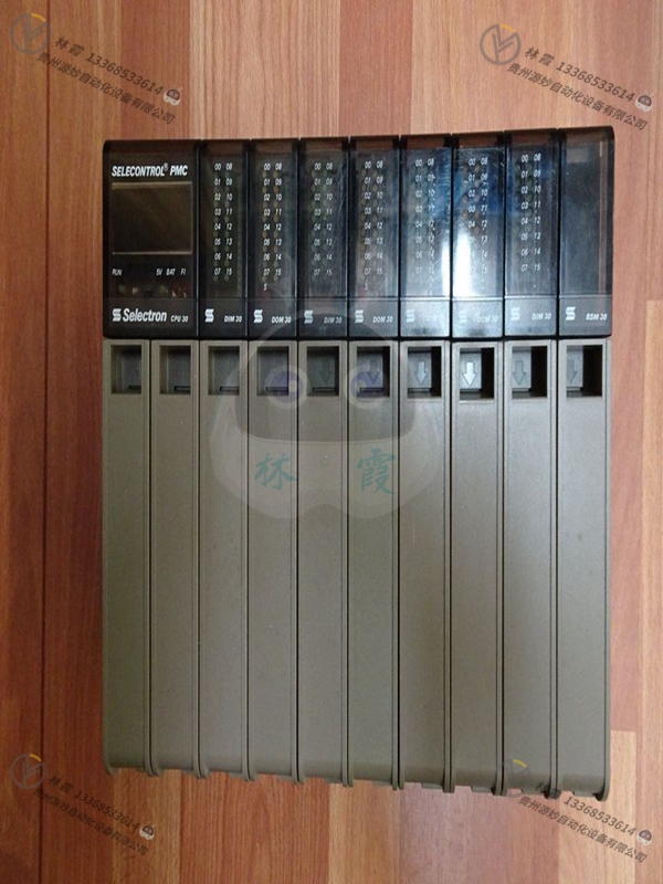 Selectron   CTA702    仪器 仪表 模块 控制器  欧美进口